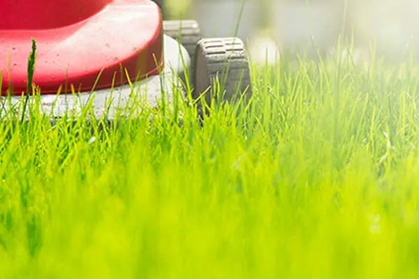lawn-mower-heatwave