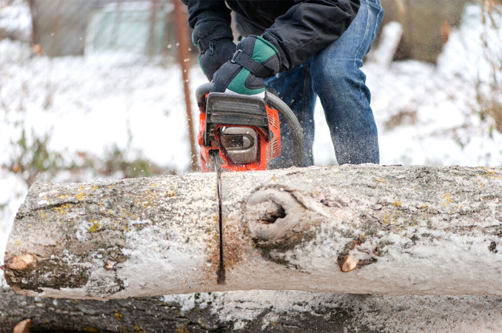 Winter garden machinery chainsaw