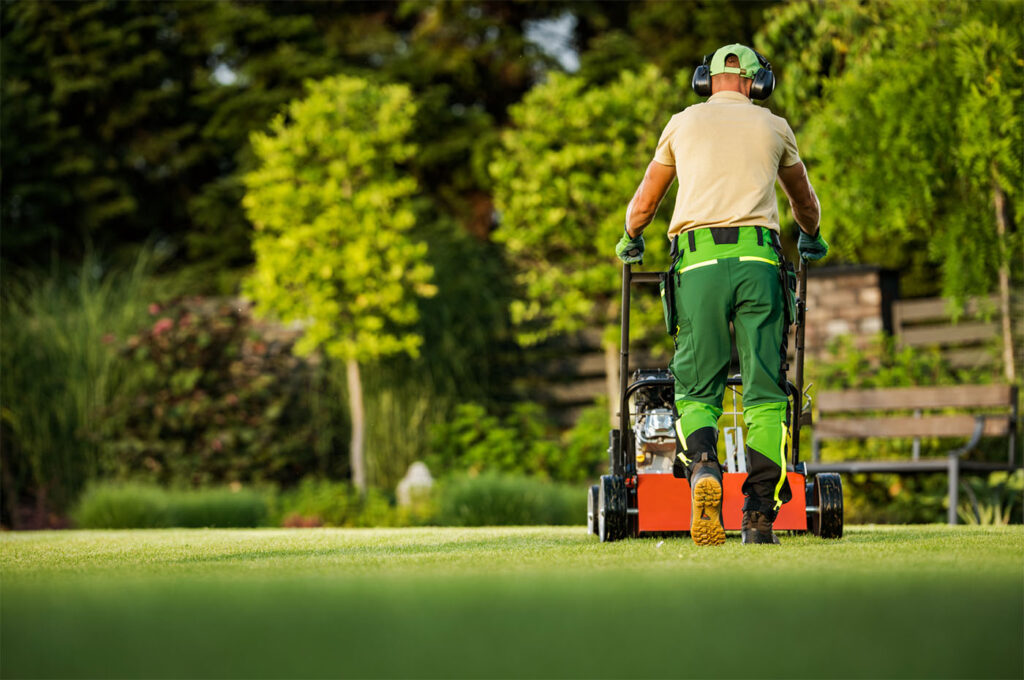 Scarifying Your Lawn