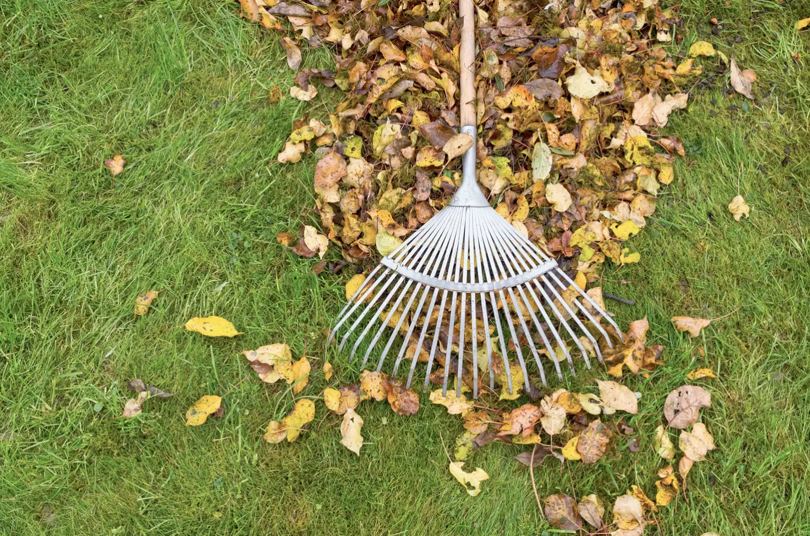Cutting Edge Machinery Autumn Garden Care