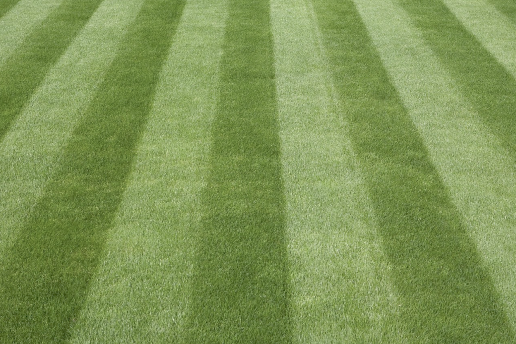 Cutting Edge Machinery uk lawn care