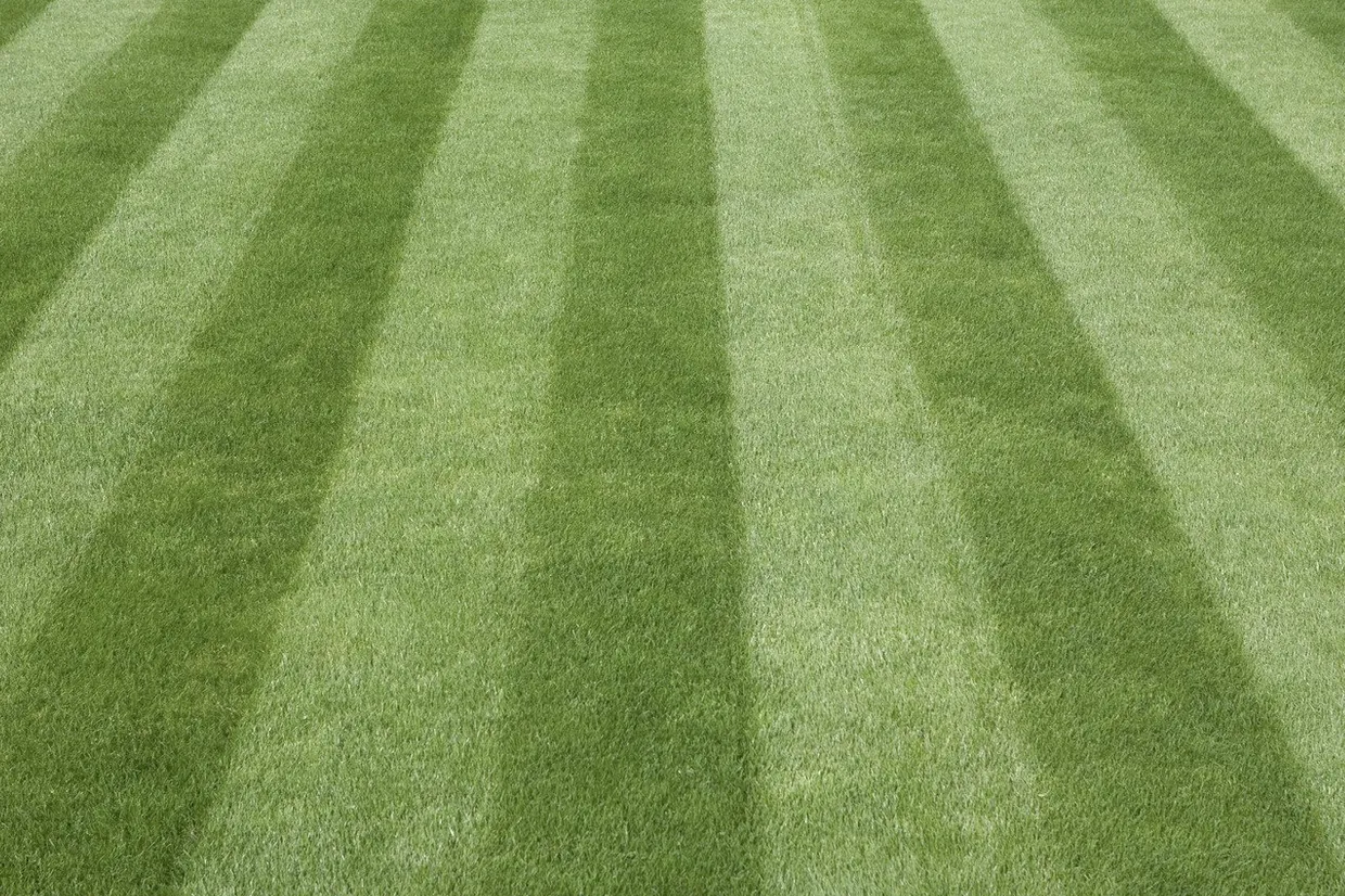 Cutting Edge Machinery uk lawn care