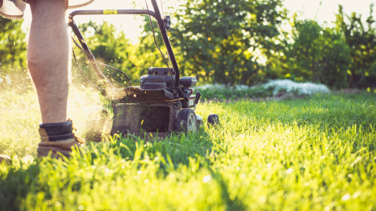 Cutting Edge Protect Garden Machinery Summer