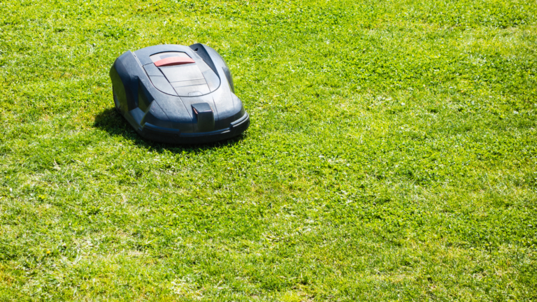 Cutting Edge robotic mowers garden