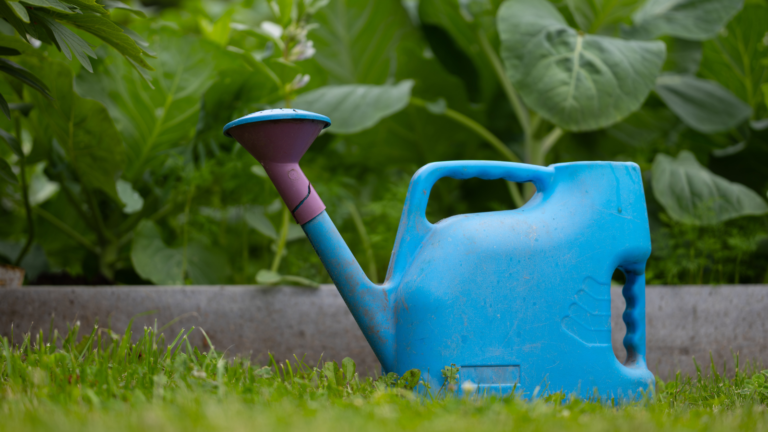 Cutting Edge sustainable garden maintenance